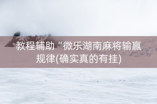 教程辅助“微乐湖南麻将输赢规律(确实真的有挂)