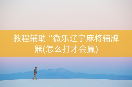 教程辅助“微乐辽宁麻将辅牌器(怎么打才会赢)