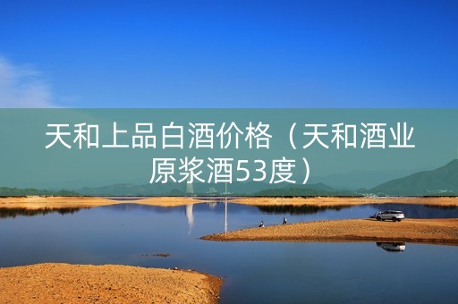 天和上品白酒价格（天和酒业原浆酒53度）