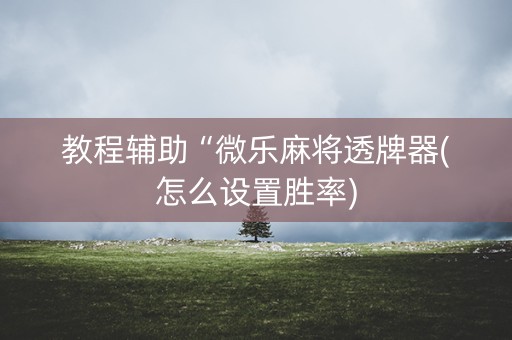 教程辅助“微乐麻将透牌器(怎么设置胜率)