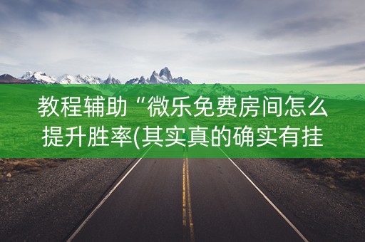 教程辅助“微乐免费房间怎么提升胜率(其实真的确实有挂)