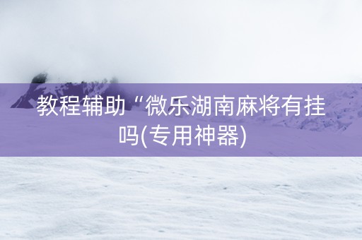 教程辅助“微乐湖南麻将有挂吗(专用神器)
