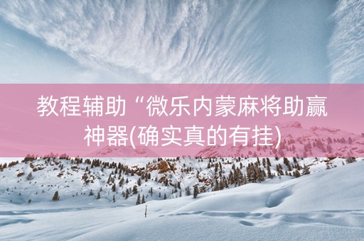 教程辅助“微乐内蒙麻将助赢神器(确实真的有挂)