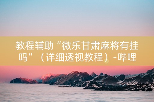 教程辅助“微乐甘肃麻将有挂吗”（详细透视教程）-哔哩哔哩