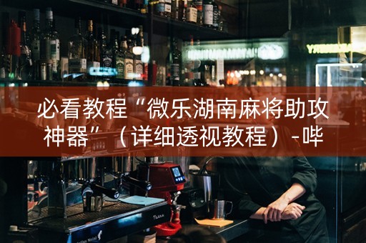 必看教程“微乐湖南麻将助攻神器”（详细透视教程）-哔哩哔哩