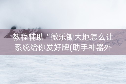 教程辅助“微乐锄大地怎么让系统给你发好牌(助手神器外辅工具)