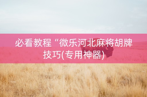 必看教程“微乐河北麻将胡牌技巧(专用神器)
