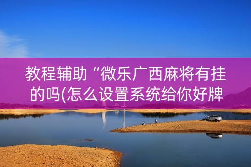 教程辅助“微乐广西麻将有挂的吗(怎么设置系统给你好牌)