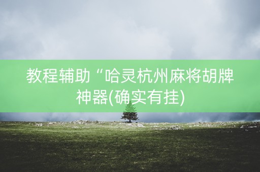 教程辅助“哈灵杭州麻将胡牌神器(确实有挂)