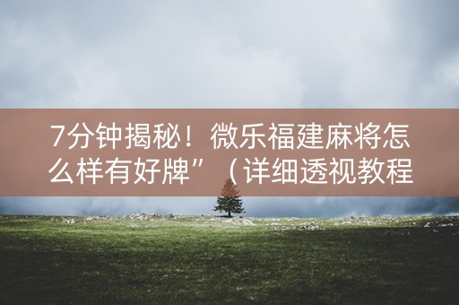 7分钟揭秘！微乐福建麻将怎么样有好牌”（详细透视教程）-哔哩哔哩