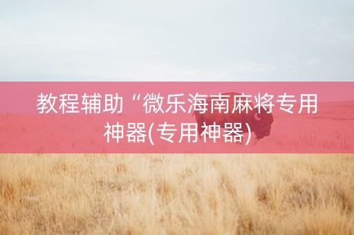 教程辅助“微乐海南麻将专用神器(专用神器)