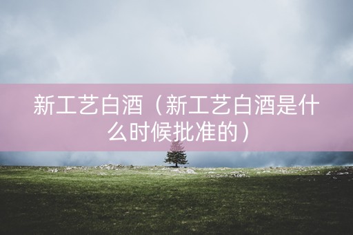 新工艺白酒（新工艺白酒是什么时候批准的）