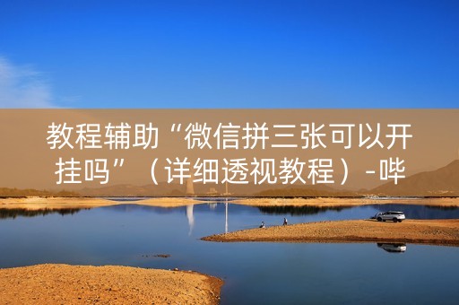 教程辅助“微信拼三张可以开挂吗”（详细透视教程）-哔哩哔哩