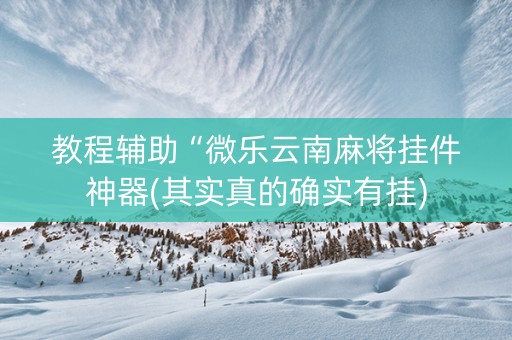 教程辅助“微乐云南麻将挂件神器(其实真的确实有挂)