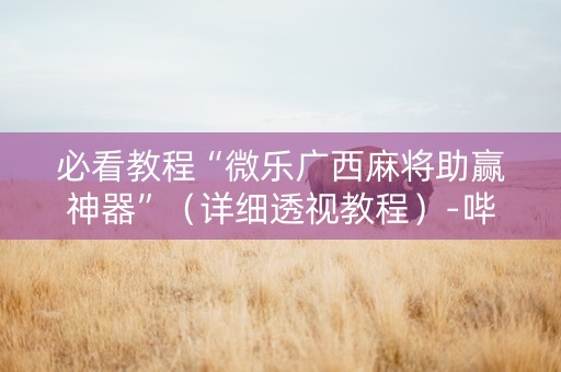 必看教程“微乐广西麻将助赢神器”（详细透视教程）-哔哩哔哩