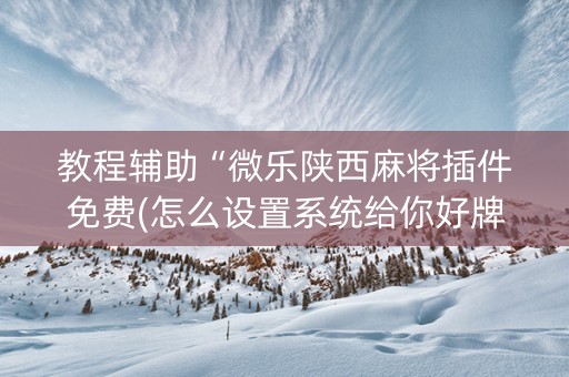 教程辅助“微乐陕西麻将插件免费(怎么设置系统给你好牌)