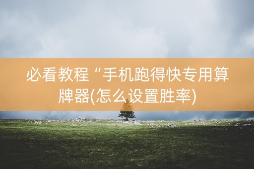 必看教程“手机跑得快专用算牌器(怎么设置胜率)