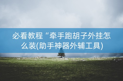 必看教程“牵手跑胡子外挂怎么装(助手神器外辅工具)