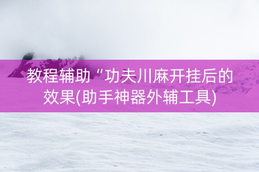 教程辅助“功夫川麻开挂后的效果(助手神器外辅工具)