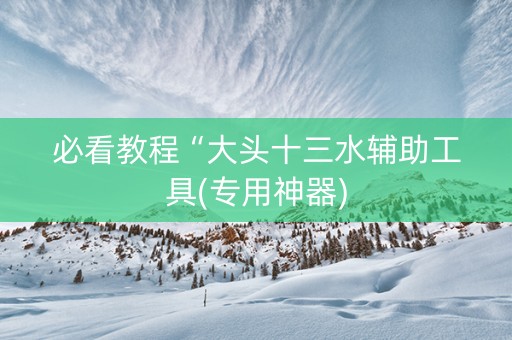 必看教程“大头十三水辅助工具(专用神器)