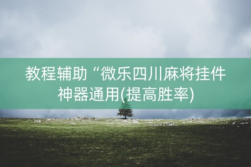 教程辅助“微乐四川麻将挂件神器通用(提高胜率)