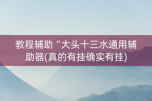 教程辅助“大头十三水通用辅助器(真的有挂确实有挂)