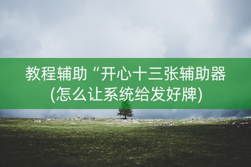 教程辅助“开心十三张辅助器(怎么让系统给发好牌)