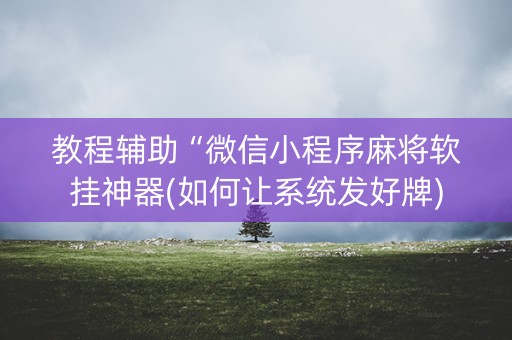教程辅助“微信小程序麻将软挂神器(如何让系统发好牌)
