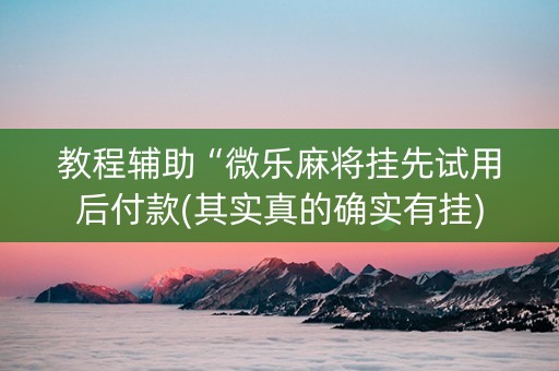 教程辅助“微乐麻将挂先试用后付款(其实真的确实有挂)
