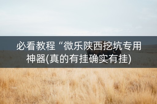 必看教程“微乐陕西挖坑专用神器(真的有挂确实有挂)