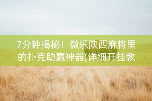 7分钟揭秘！微乐陕西麻将里的扑克助赢神器(详细开挂教程)