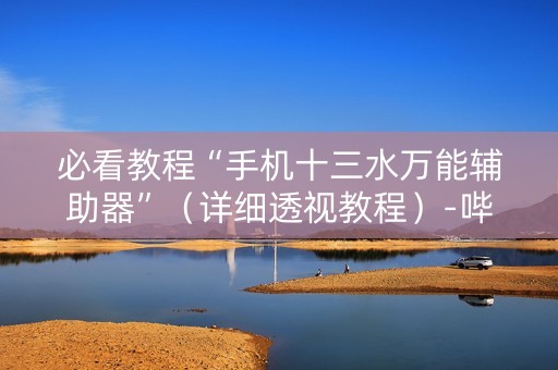 必看教程“手机十三水万能辅助器”（详细透视教程）-哔哩哔哩