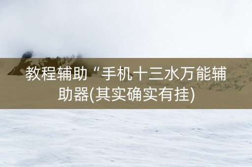 教程辅助“手机十三水万能辅助器(其实确实有挂)
