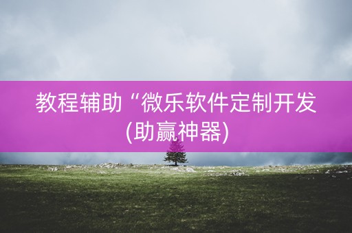 教程辅助“微乐软件定制开发(助赢神器)