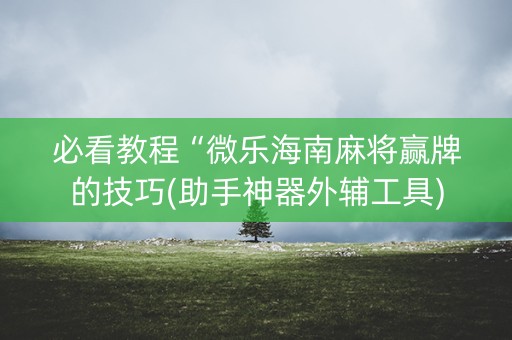 必看教程“微乐海南麻将赢牌的技巧(助手神器外辅工具)
