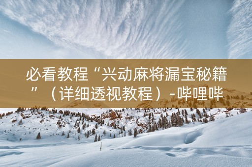 必看教程“兴动麻将漏宝秘籍”（详细透视教程）-哔哩哔哩