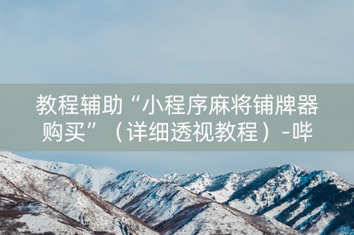教程辅助“小程序麻将铺牌器购买”（详细透视教程）-哔哩哔哩