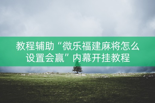 教程辅助“微乐福建麻将怎么设置会赢”内幕开挂教程