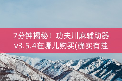 7分钟揭秘！功夫川麻辅助器v3.5.4在哪儿购买(确实有挂)