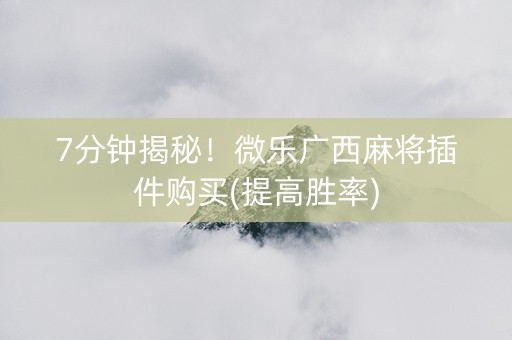 7分钟揭秘！微乐广西麻将插件购买(提高胜率)