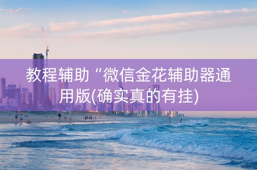 教程辅助“微信金花辅助器通用版(确实真的有挂)