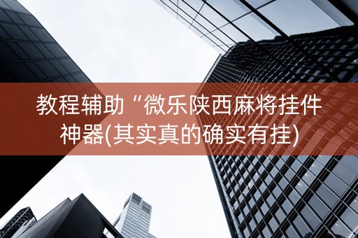 教程辅助“微乐陕西麻将挂件神器(其实真的确实有挂)