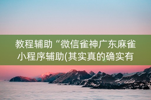 教程辅助“微信雀神广东麻雀小程序辅助(其实真的确实有挂)