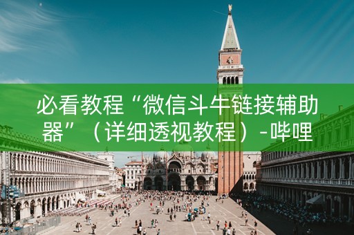 必看教程“微信斗牛链接辅助器”（详细透视教程）-哔哩哔哩