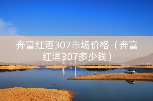 奔富红酒307市场价格（奔富红酒307多少钱）