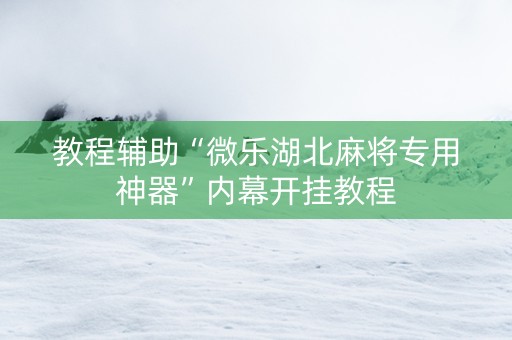 教程辅助“微乐湖北麻将专用神器”内幕开挂教程