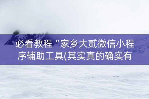 必看教程“家乡大贰微信小程序辅助工具(其实真的确实有挂)