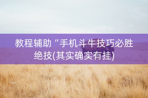 教程辅助“手机斗牛技巧必胜绝技(其实确实有挂)