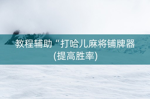 教程辅助“打哈儿麻将铺牌器(提高胜率)
