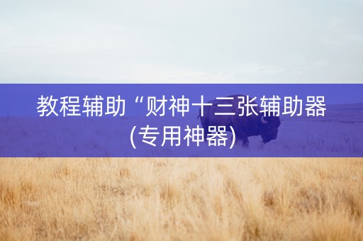 教程辅助“财神十三张辅助器(专用神器)
